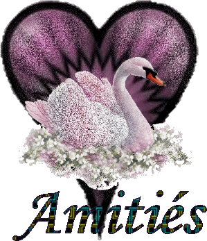 merci beaucoup les amies