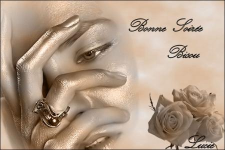 bonne soiree