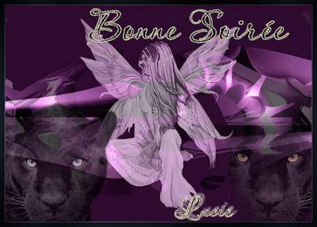bonne soiree
