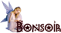 bonsoir