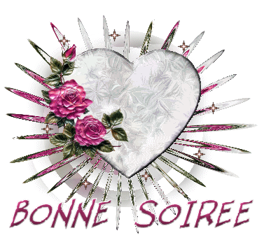 bonsoir