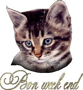 bonsoir