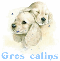 kikou les amies