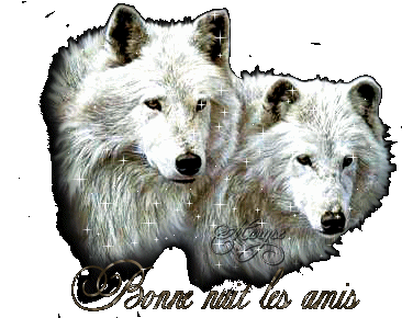 tres bonnes soirée